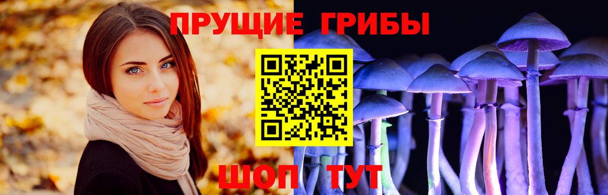 Галлюциногенные грибы мухоморы Сердобск